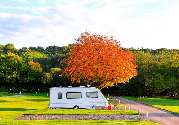 Caravan in a lovely park